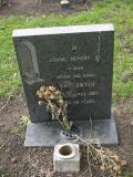 image of grave number 236962